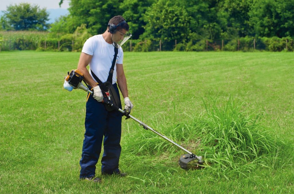 Покос травы, обрезка кустаников, деревьев